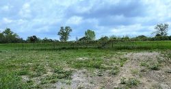 Terreno Urbanizzato