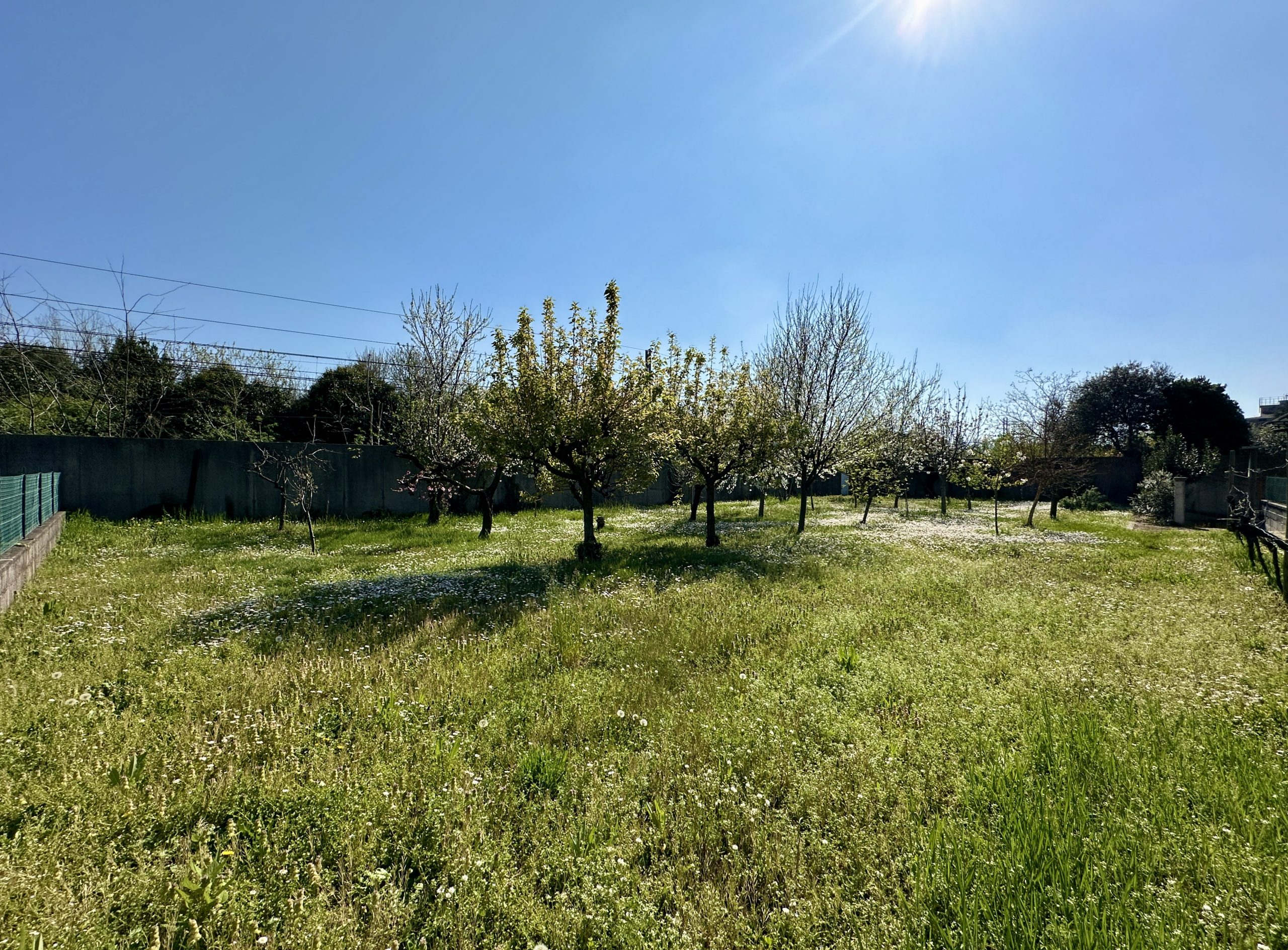 Appartamento Bicamere con Giardino a Villa Primavera Appartamento Bicamere con Giardino a Villa Primavera