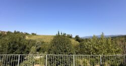 Proprietà In Collina