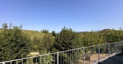 Proprietà In Collina