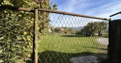 Ampia Casa Con Giardino